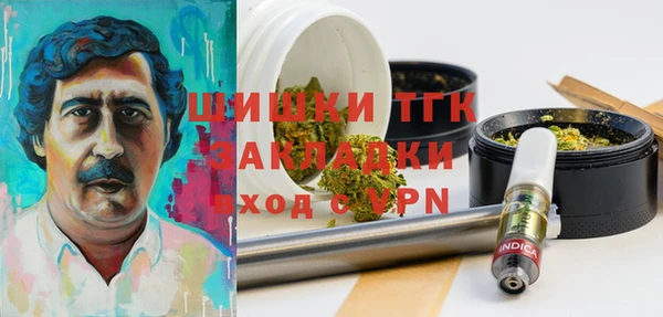 ECSTASY Вязьма
