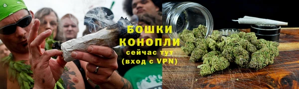 ECSTASY Вязьма