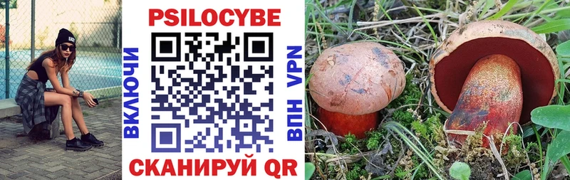 Купить где  Нефтекумск  Галлюциногенные грибы прущие грибы 